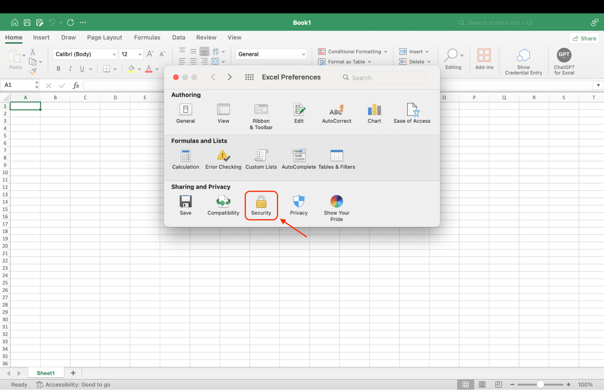 Go to Excel Preferences, select Security, and restrict macros to trusted sources to enhance security and prevent unauthorized scripts.