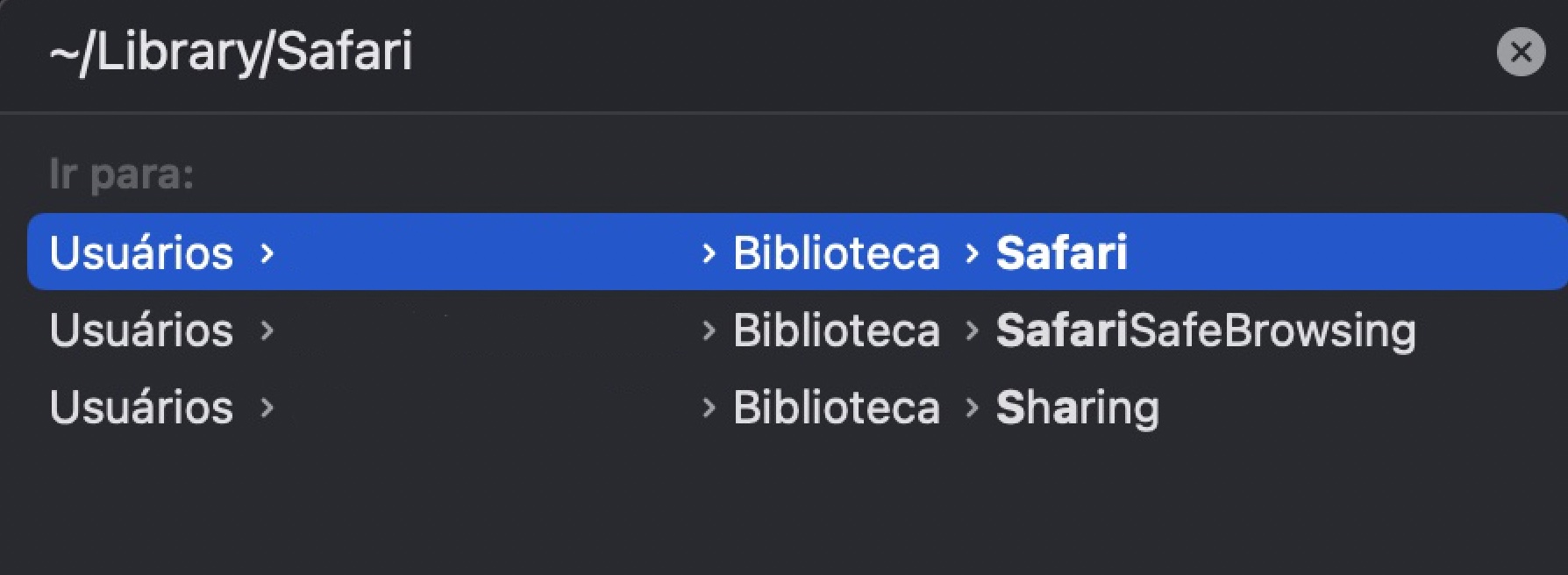 No Finder, clique na aba Ir na parte superior da tela para remover os dados de sites. Em seguida, escolha Ir para Pasta e digite ~/Library/Safari > Ir. Exclua todos os arquivos que contenham History.db no nome, além do arquivo LastSession.plist.