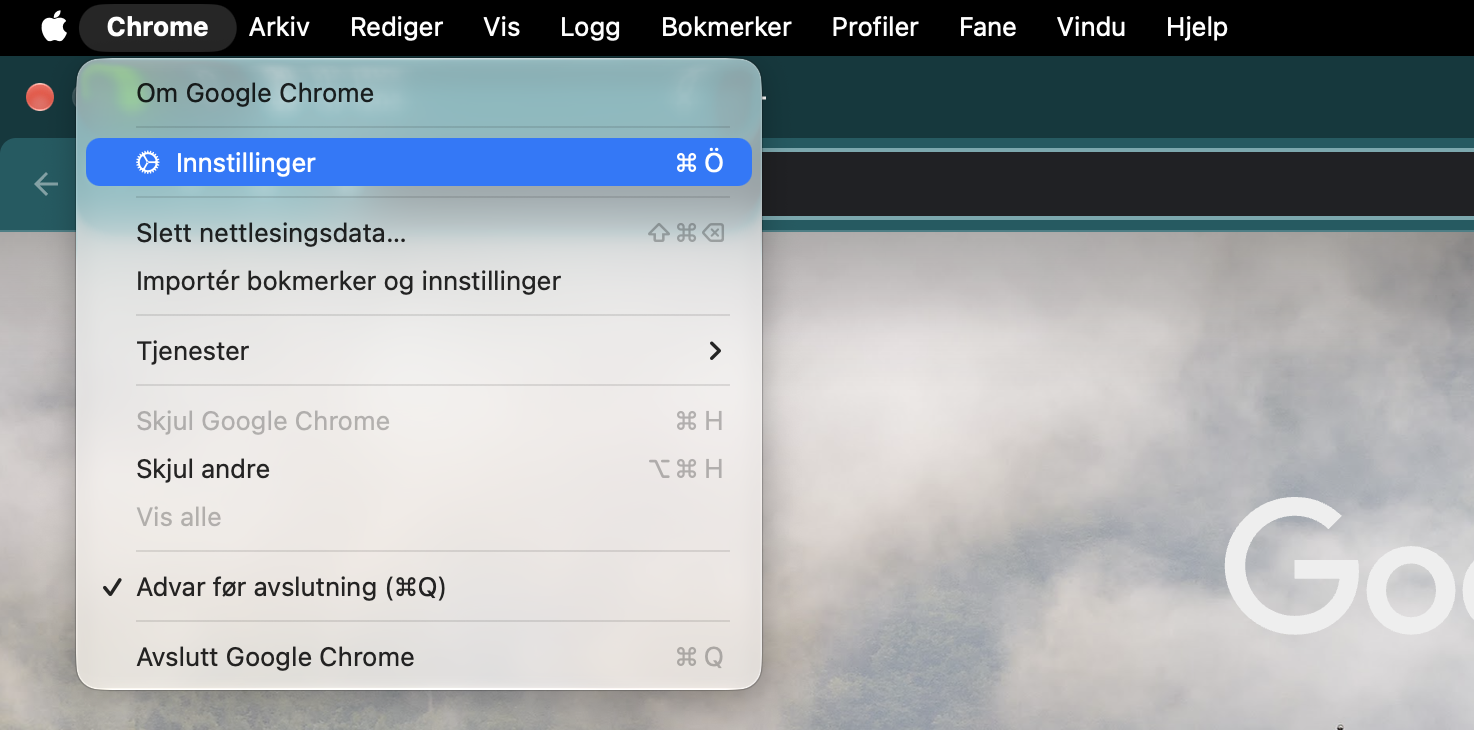 Deretter vil du gå inn i Safari-innstillingene, hvor du kan dobbeltsjekke at startsiden er riktig, og gjøre endringer i den om nødvendig.