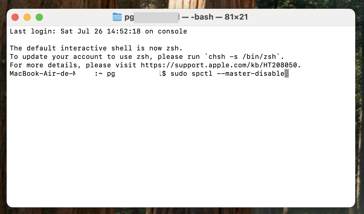 Tapez la commande sudo spctl --master-disable.