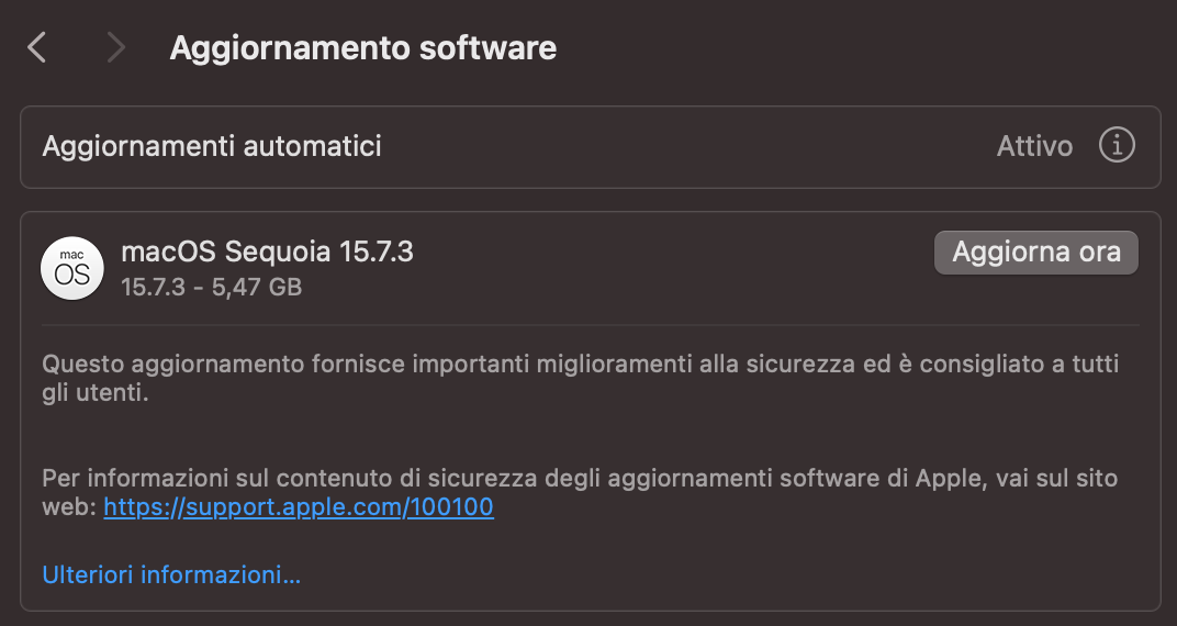 Dopo qualche secondo, il tuo computer troverà un aggiornamento software, se disponibile. In tal caso, seleziona Aggiorna ora.