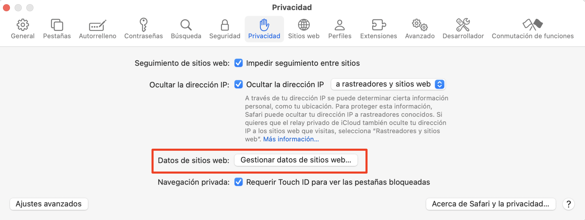 A continuación, ve a la pestaña Privacidad, donde encontrarás la opción Eliminar todos los datos de sitios web.