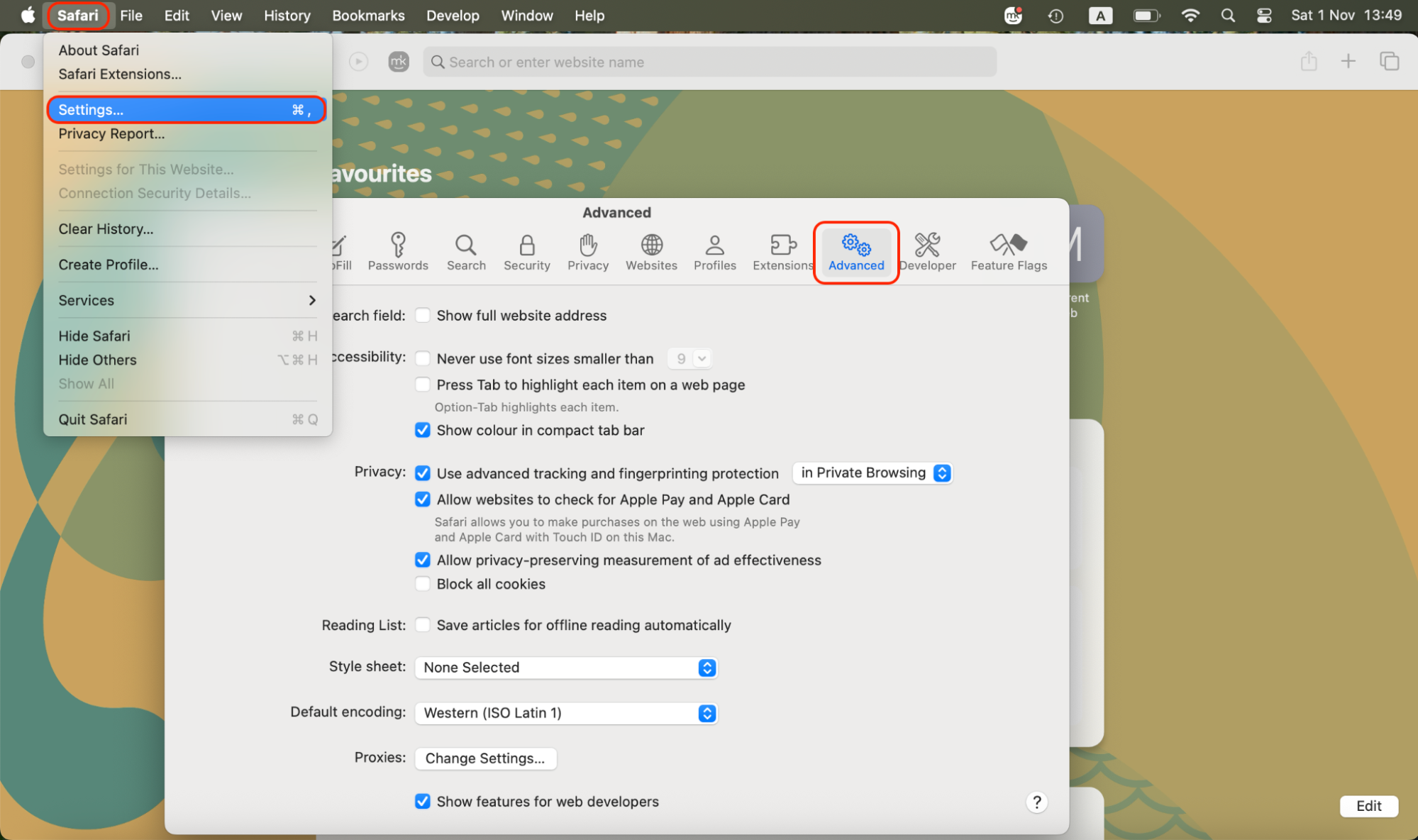 Open Safari, go to Settings, then select the Advanced tab to access additional browser options and enable developer or troubleshooting features.