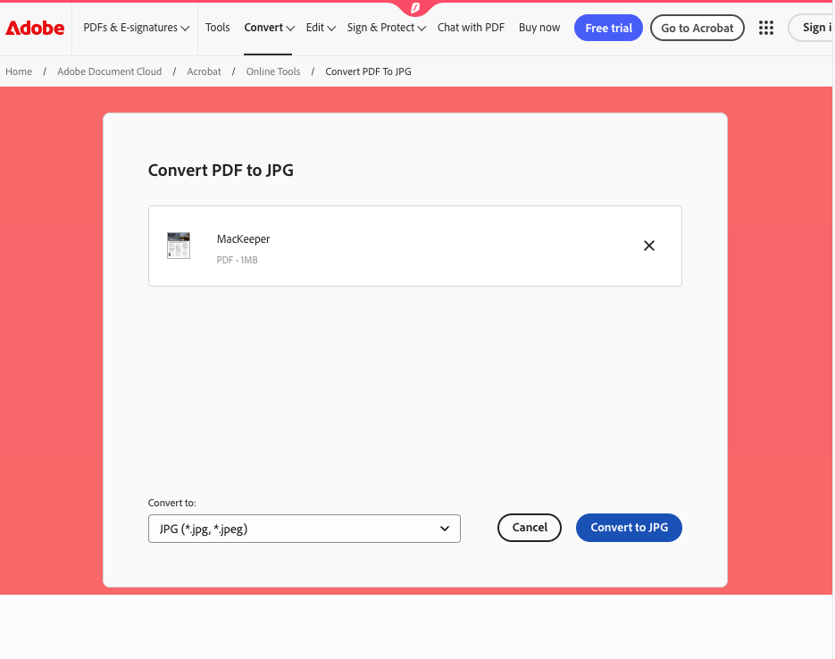 Your PDF will be uploaded into the converter. Make sure JPG is selected in the dropdown menu, then click the 'Convert to JPG' button.