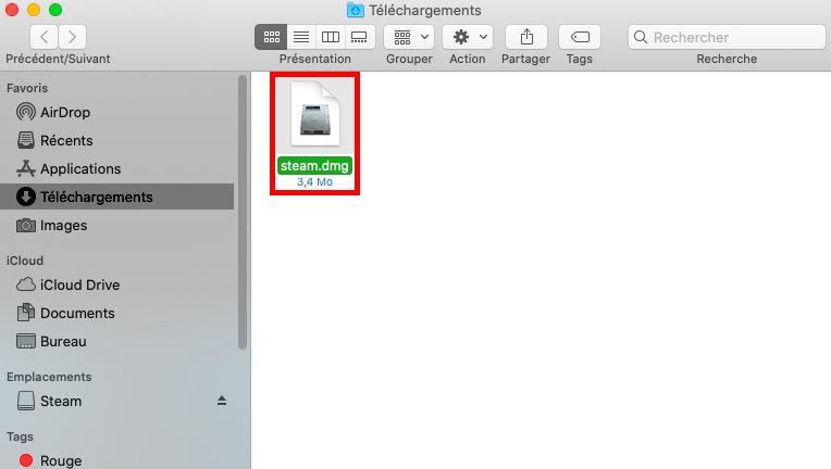 L'installateur Steam.dmg se trouve dans le dossier Téléchargements sur macOS, une fois celui-ci téléchargé depuis le site Web de Steam.