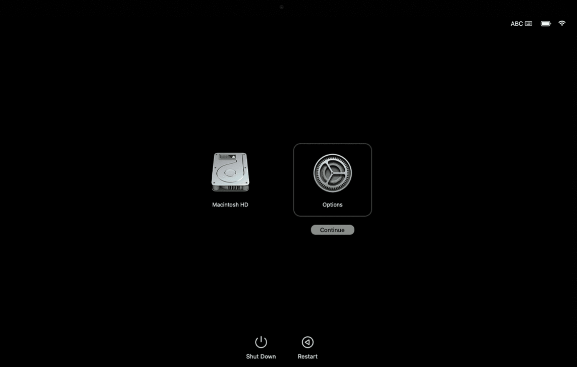 Startup options appear on a Mac screen. Click on Options, followed by the Continue button below it to use Disk Utility in Recovery Mode.