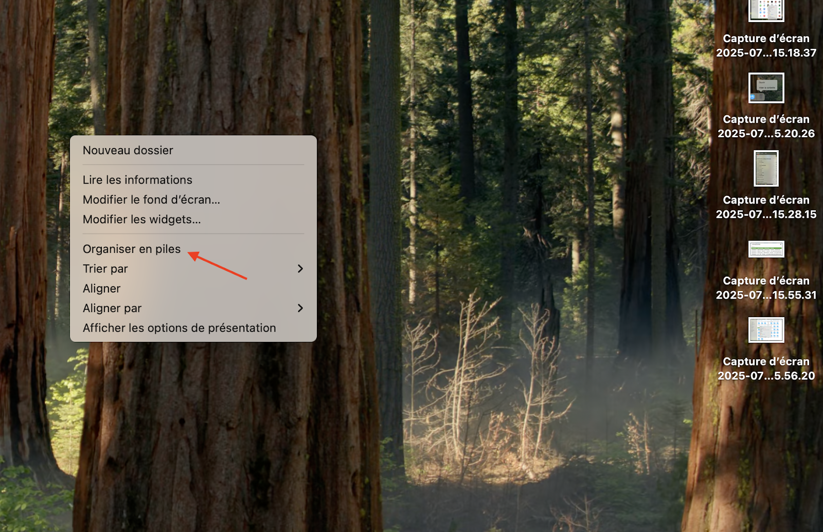 macOS Monterey affiche le menu qui apparaît après avoir effectué un clic droit sur le bureau. Cliquez sur Organiser en piles pour regrouper les fichiers.