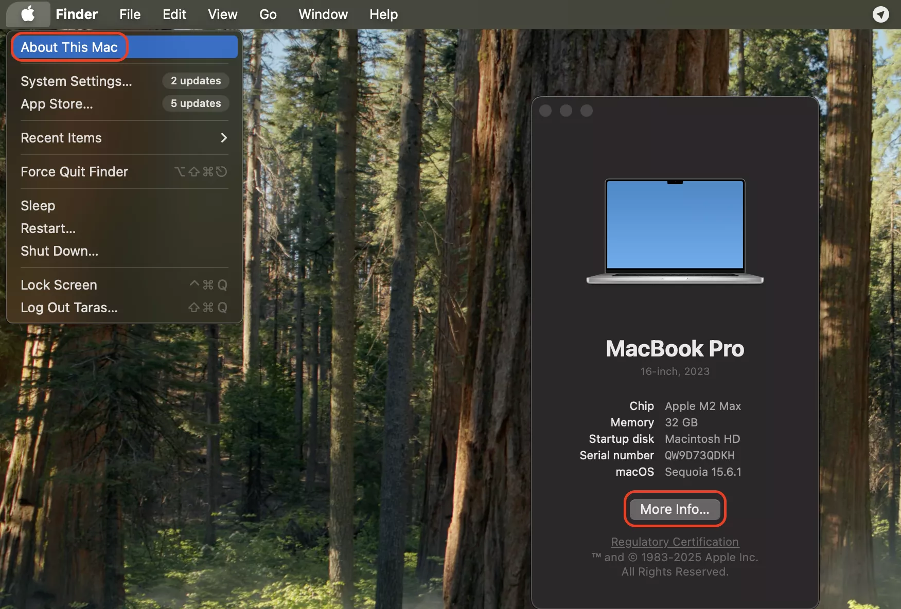 Open het Apple-menu, selecteer Over deze Mac, klik op Meer info en bekijk het gedeelte Geheugen om te controleren of je Mac RAM-upgrades ondersteunt.