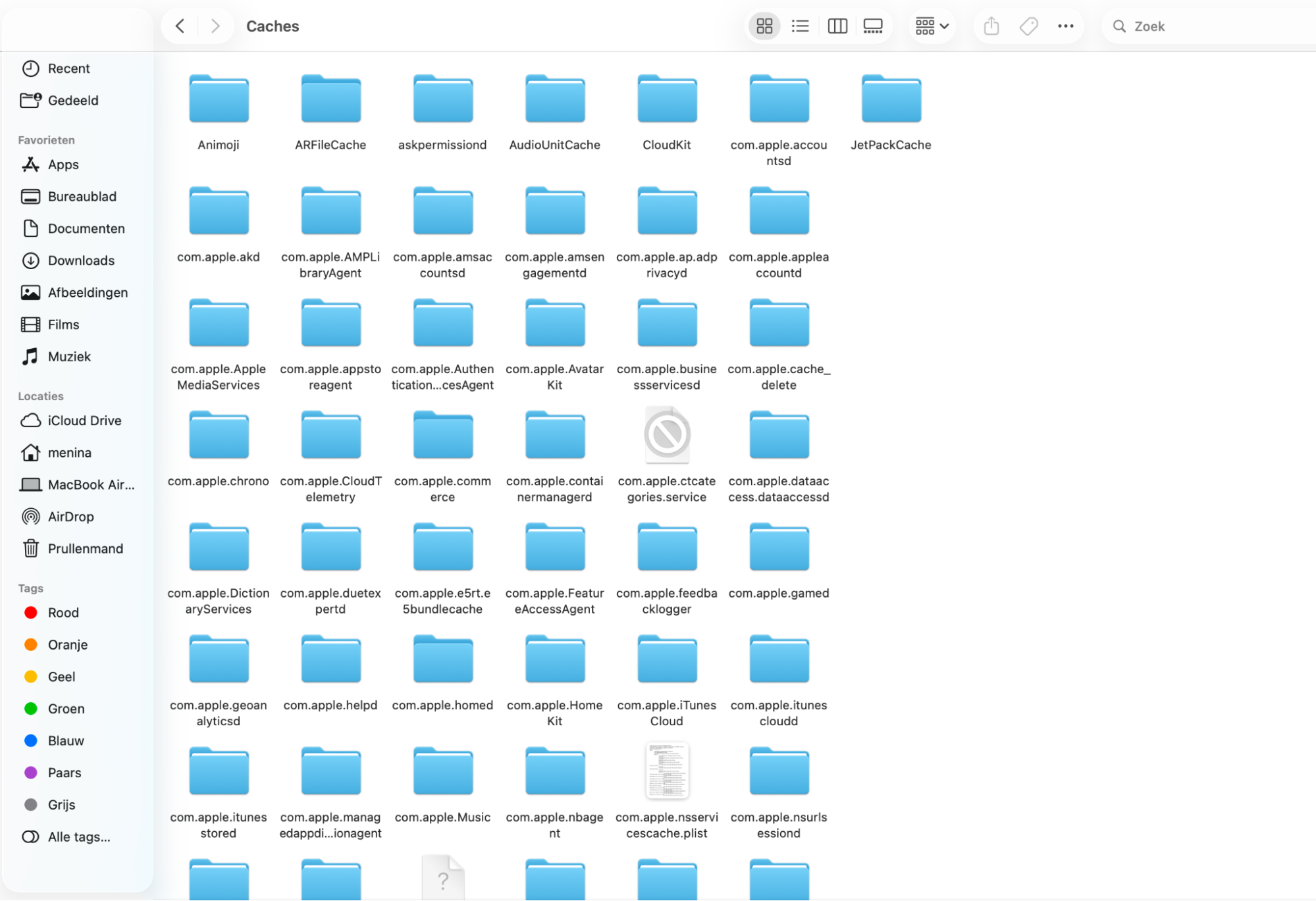 Op macOS Ventura en nieuwer vind je ‘Overige’ opslag terug onder verschillende soorten bestandstypen en mappen. Dit zijn meestal cachebestanden, systeemlogbestanden, browsercookies en extensiegegevens.