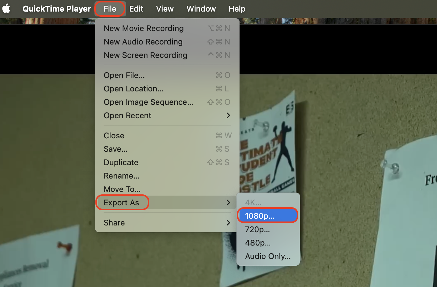 Open your MOV file in QuickTime Player, click File then Export As, choose a resolution like 1080p or 720p, and click Save to export the smaller file.