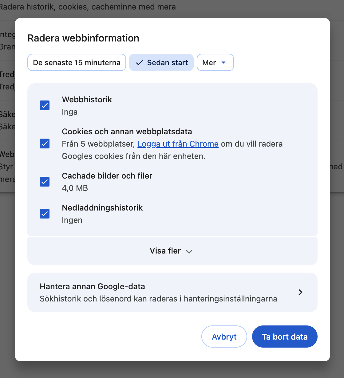 I det nyöppnade fönstret väljer du typen av tillfälliga filer och bekräftar borttagningen genom att klicka på knappen Ta bort data.