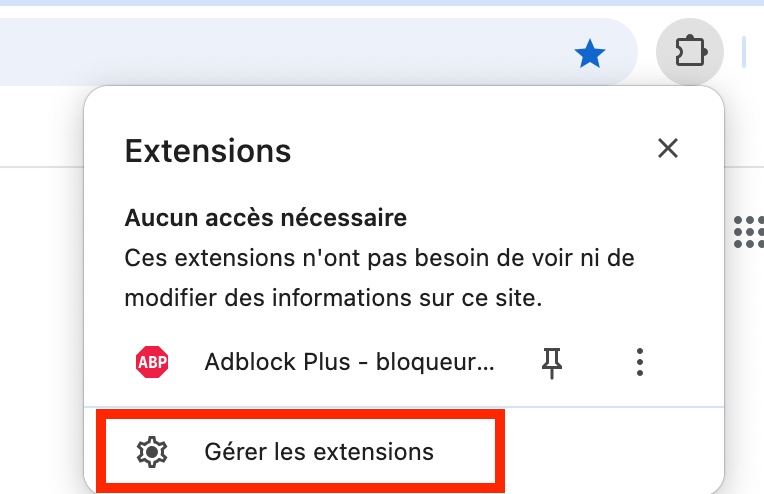 Sélectionnez Gérer les extensions dans le menu déroulant qui s’affiche.