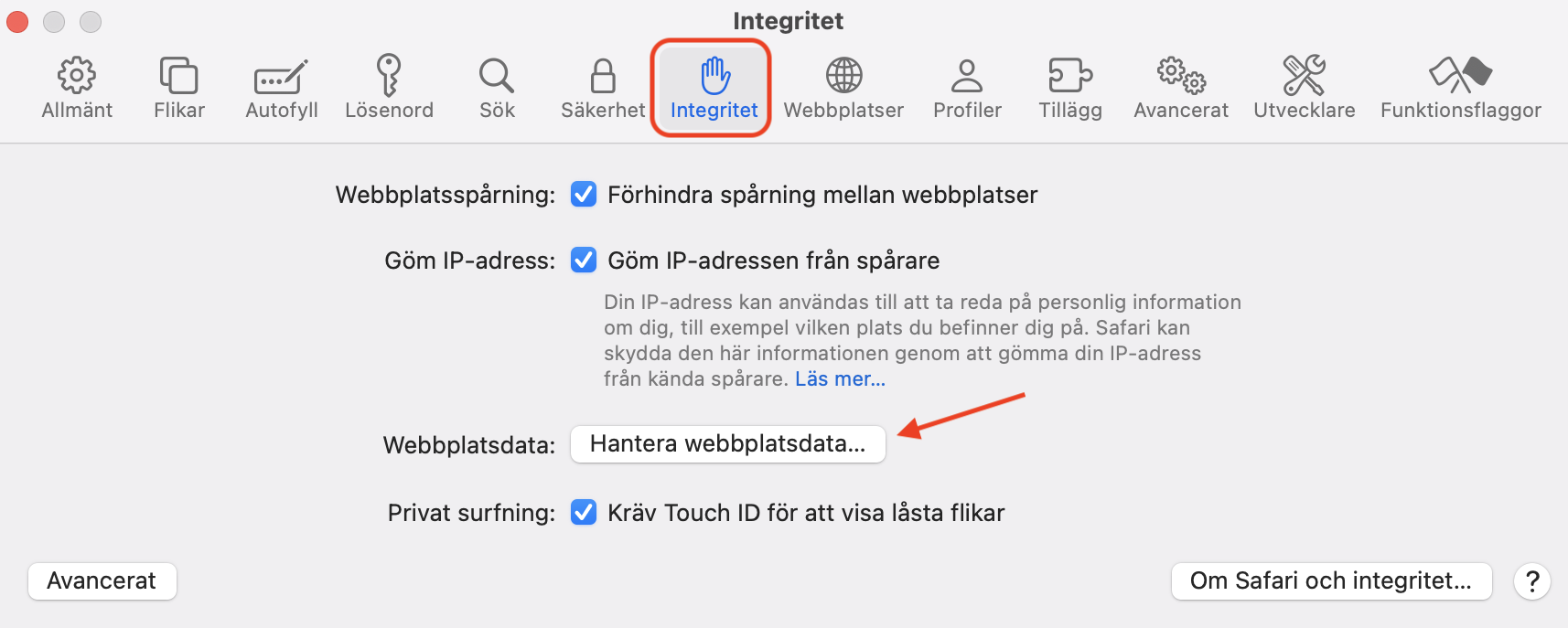 Safari-inställningar på Mac visar avsnittet Integritet. Klicka på Hantera webbplatsdata för att rensa alla cachefiler i webbläsaren.