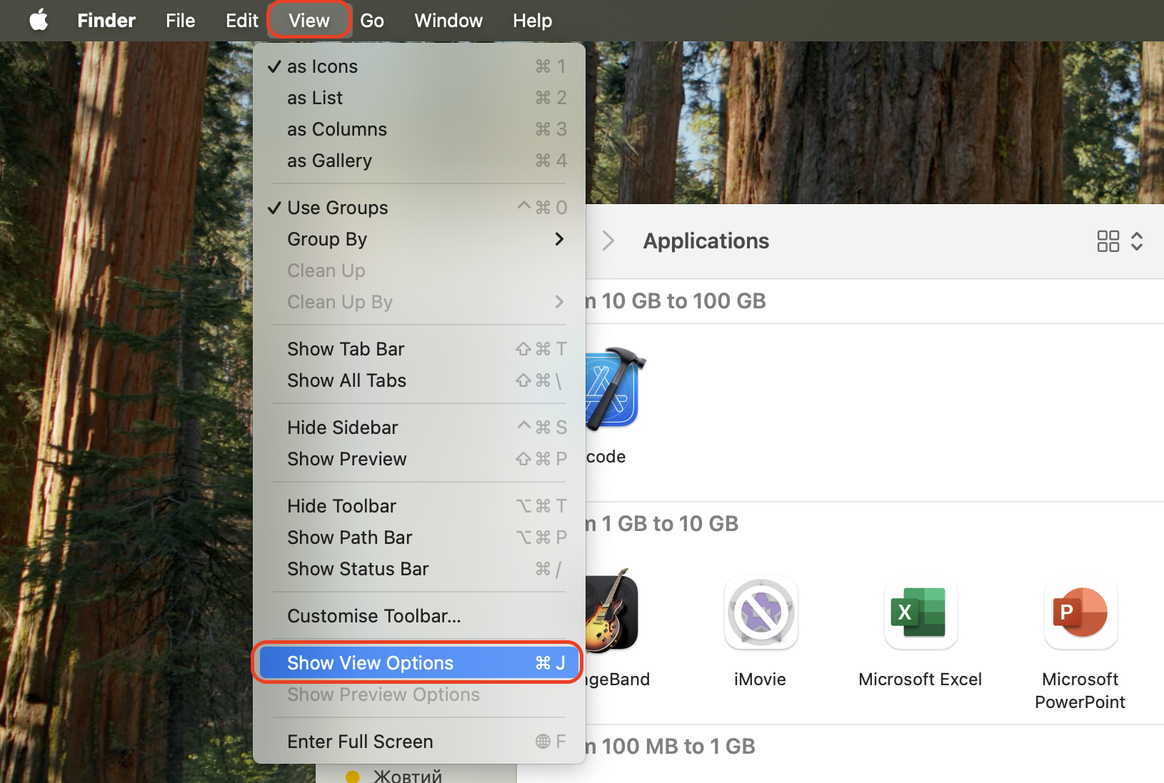 In the Applications folder, go to the menu bar, select View, and click Show View Options to customize how app details like size are displayed.