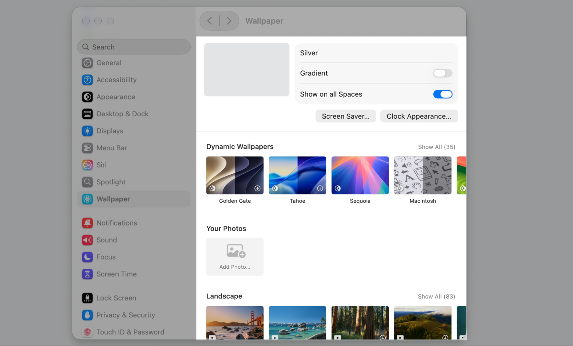 The Wallpaper section of System Settings on a Mac, with Dynamic Wallpapers and the Screen Saver button to personalise your macOS desktop.