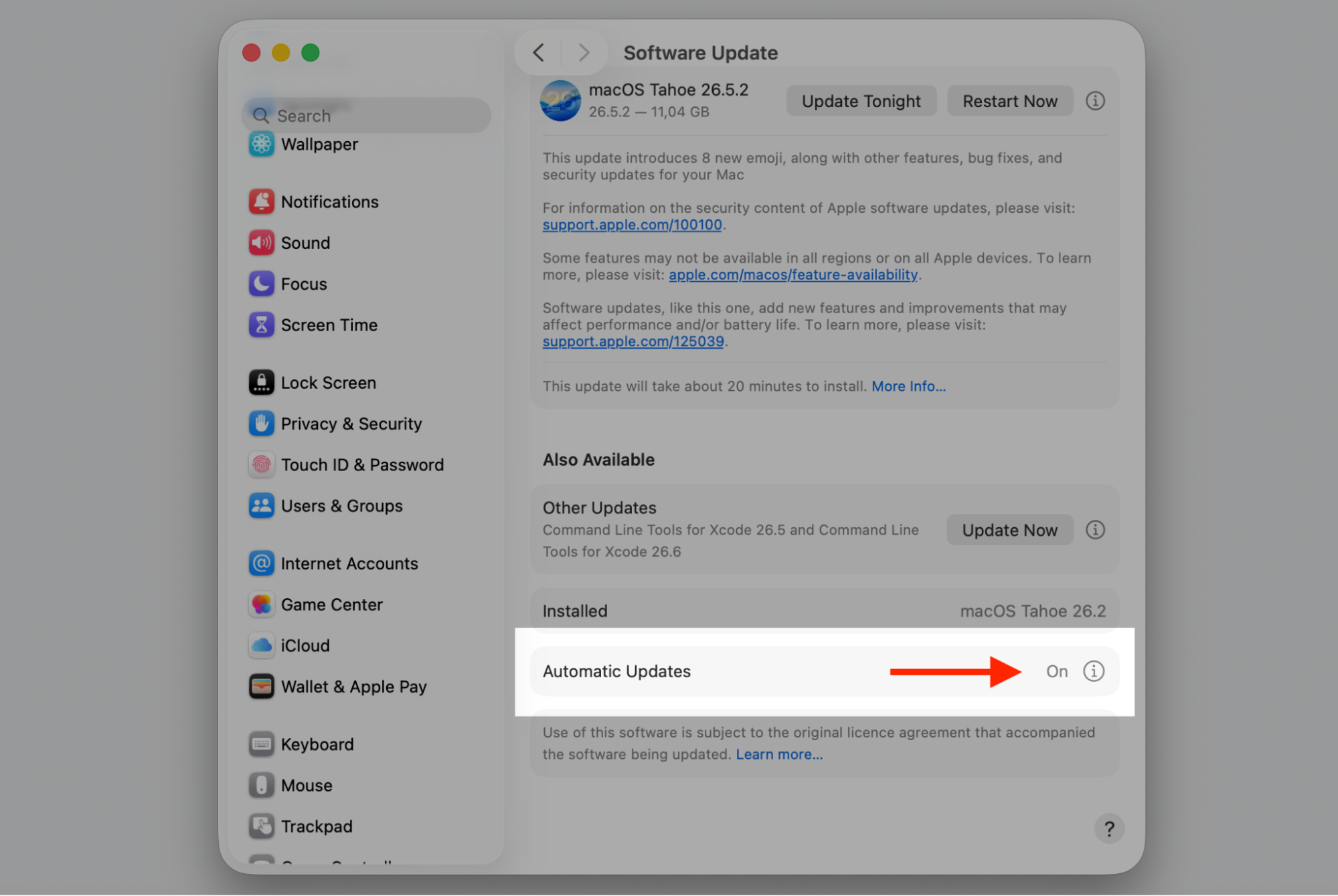 Software Update panel on macOS with the info (i) button next to Automatic Updates clicked to adjust it on an Apple computer.