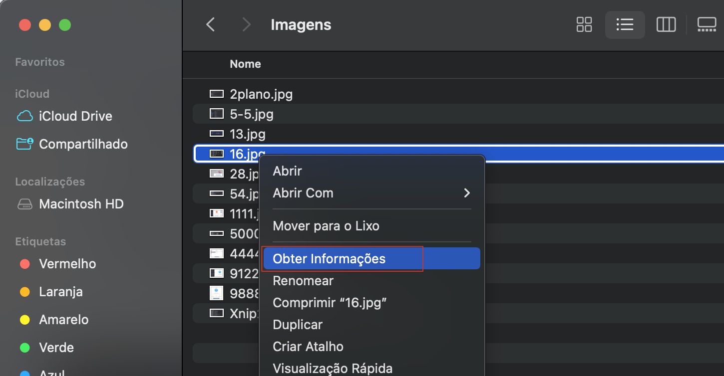 Se copiar e colar não estiver funcionando no seu Apple Mac, clique no arquivo ou na pasta que deseja editar e selecione Obter Informações para abrir suas propriedades.