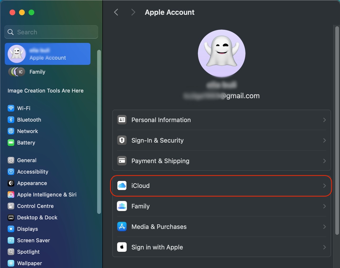 The user’s iCloud settings are opened on a MacBook device. Select the iCloud option to rectify the Syncing with iCloud paused error on a Mac.