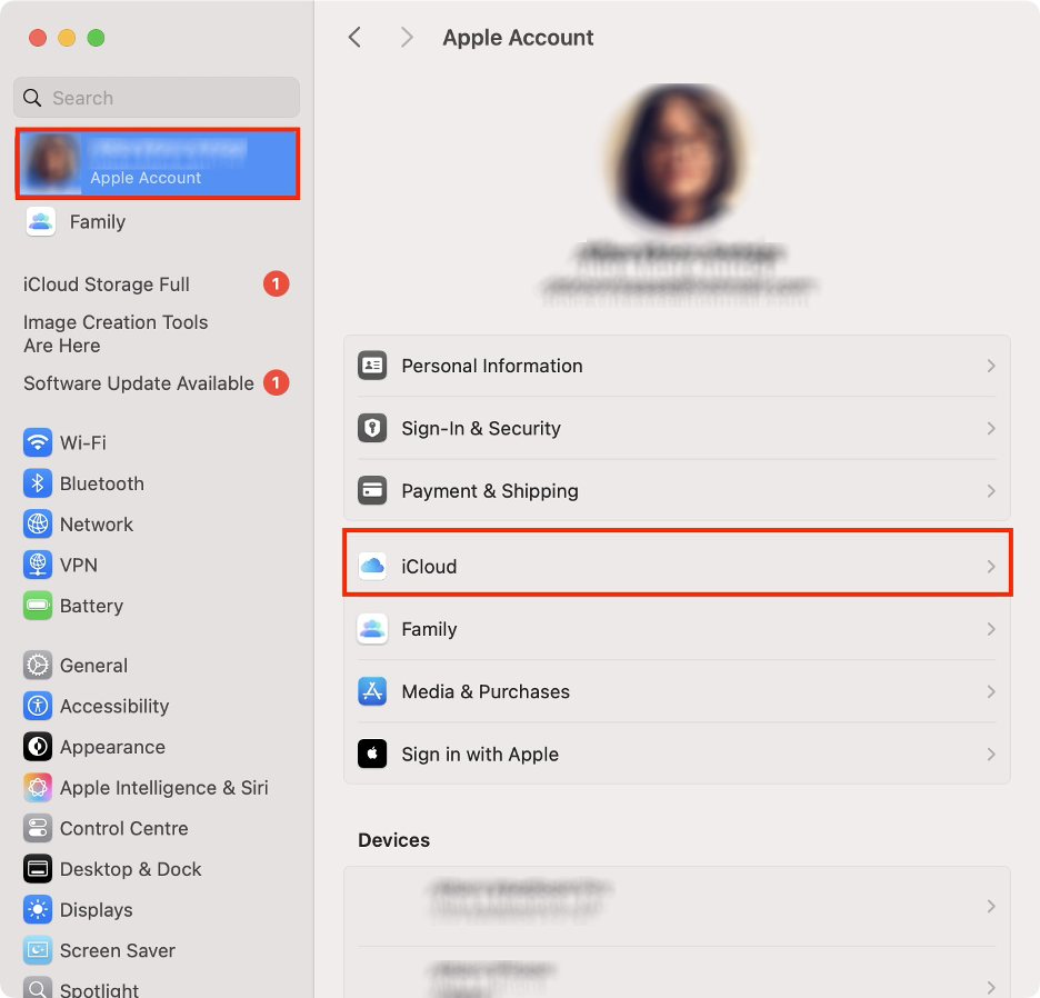 To manage your iCloud storage, click on your profile, then select iCloud from the right panel.