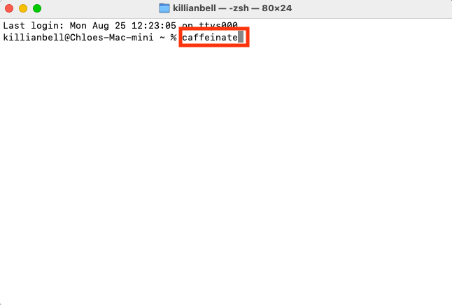 The caffeinate command in Terminal on Mac. Use this to prevent Mac from sleeping on Sequoia while the Terminal window is open.