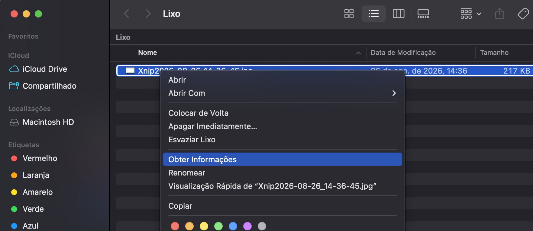 O próximo passo, se não conseguir esvaziar o Lixo no Mac, é tentar desbloquear os arquivos que você não está conseguindo excluir. Vá até o Lixo e clique em Obter Informações.