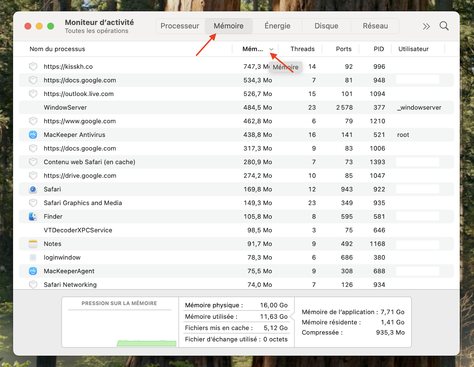 Le Moniteur d'activité sur macOS Monterey affiche une liste des processus en cours d'exécution. Cliquez sur l'onglet Mémoire, puis sur la colonne Mémoire pour trier les processus en fonction de leur consommation de la mémoire.