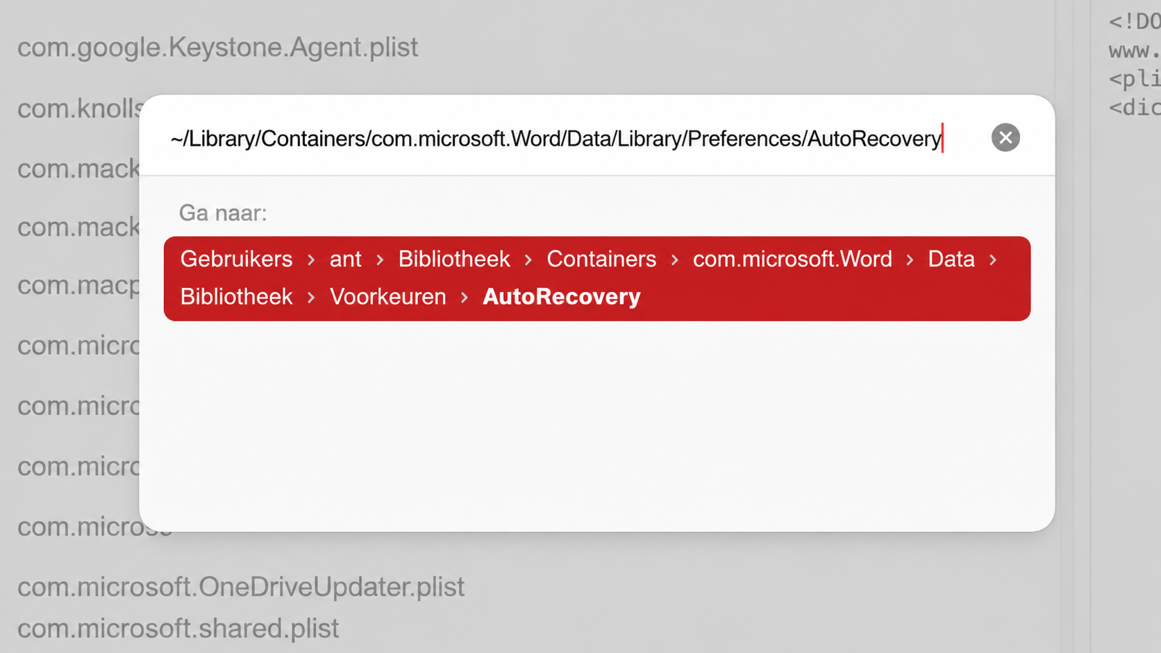 Typ het pad naar de AutoRecovery-map en druk op Return.