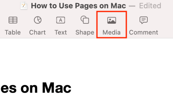 To add an image to a Pages document on your Mac, select the Media option at the top.