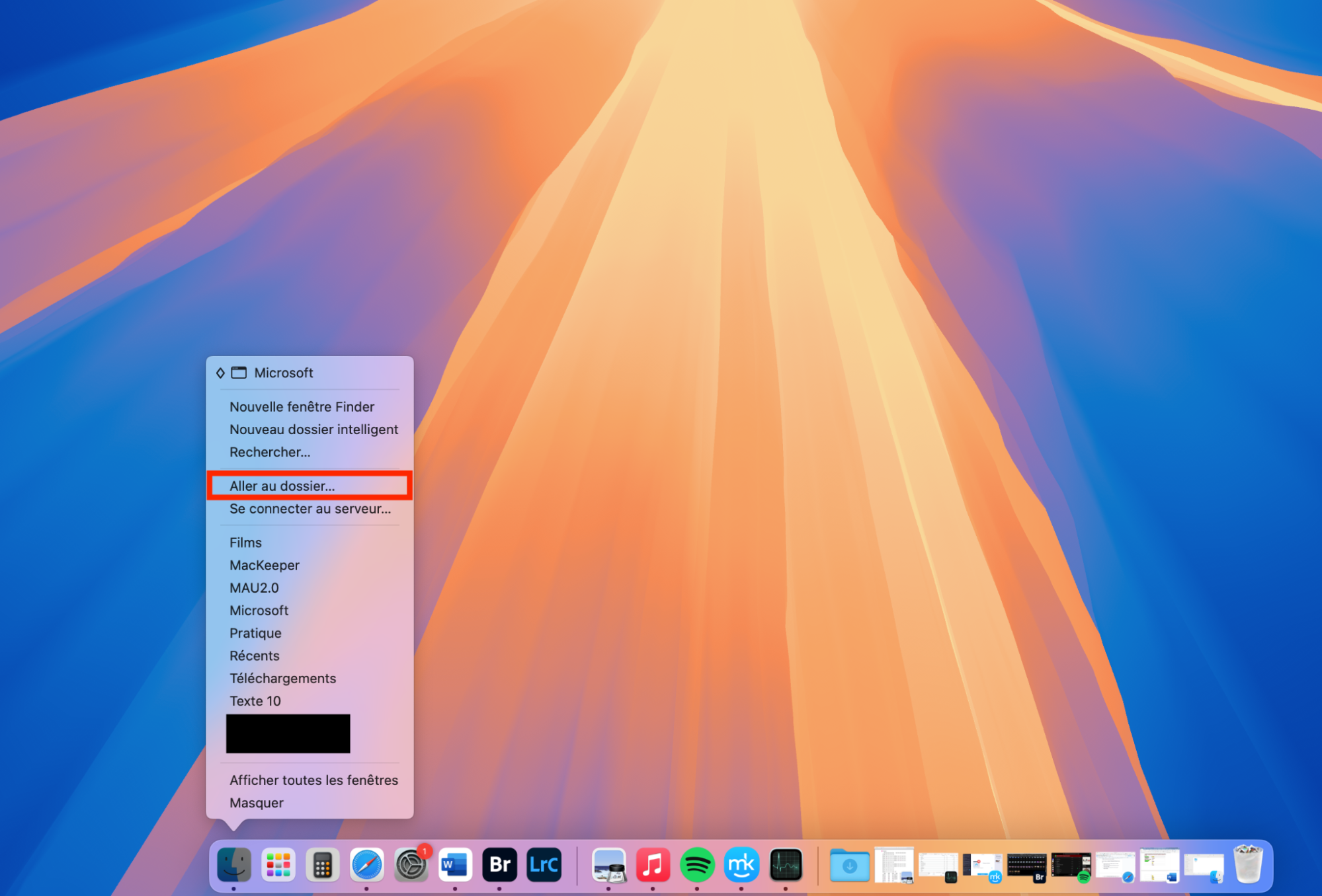 L’option Aller au dossier est encadrée en rouge dans la fenêtre Finder ouverte depuis le Dock.
