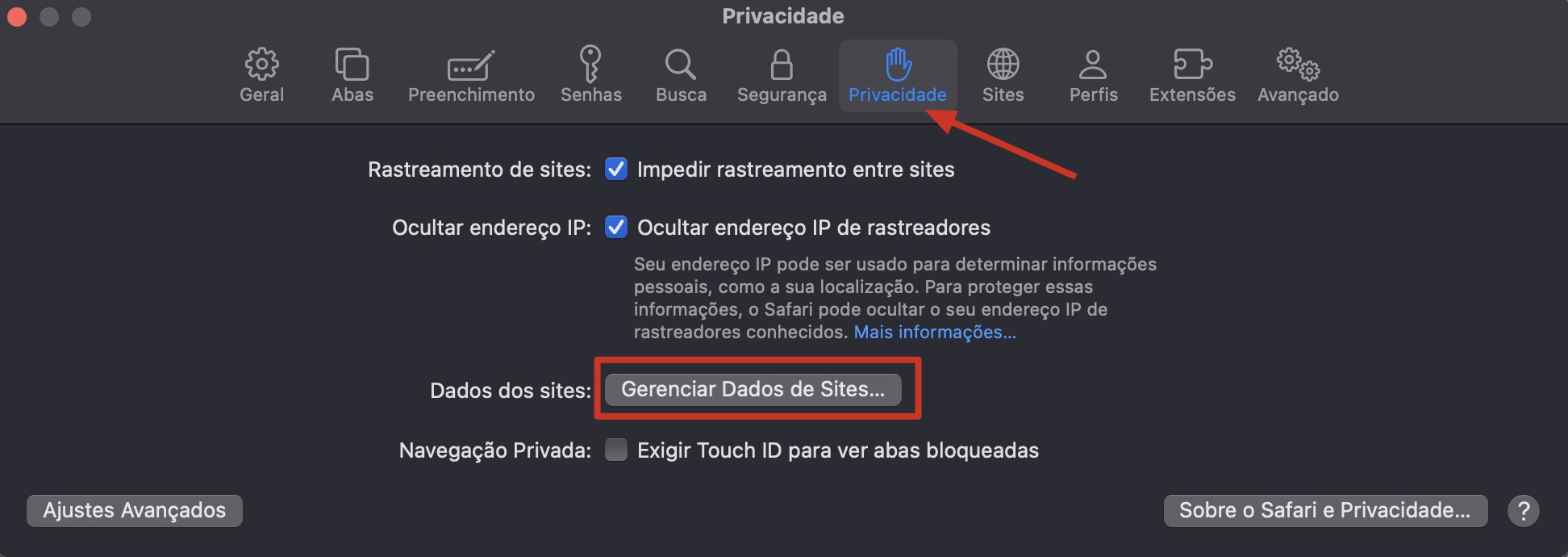 O menu Privacidade dentro das configurações do Safari no Mac. Para limpar dados antigos e liberar espaço no Mac, clique em Gerenciar Dados de Sites e depois em Remover Tudo.