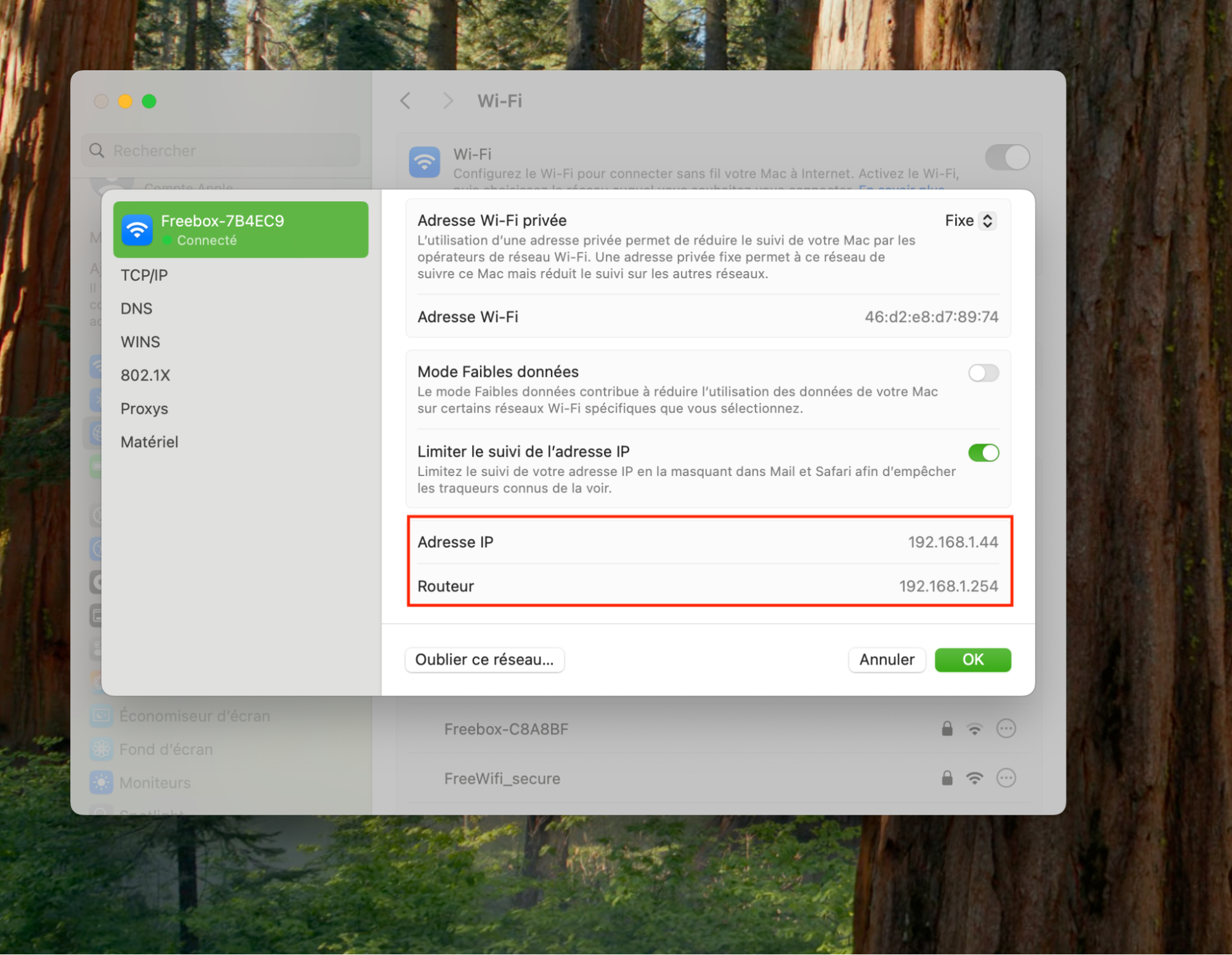 Une fois dans l'onglet Réseau, cliquez sur Wi-Fi dans le menu latéral droit, puis vous trouverez une séquence de chiffres en cliquant sur Détails. Il s'agit de votre adresse IP que vous pouvez coller dans la barre de recherche/URL de votre navigateur pour effectuer une mise à jour du programme interne du routeur.