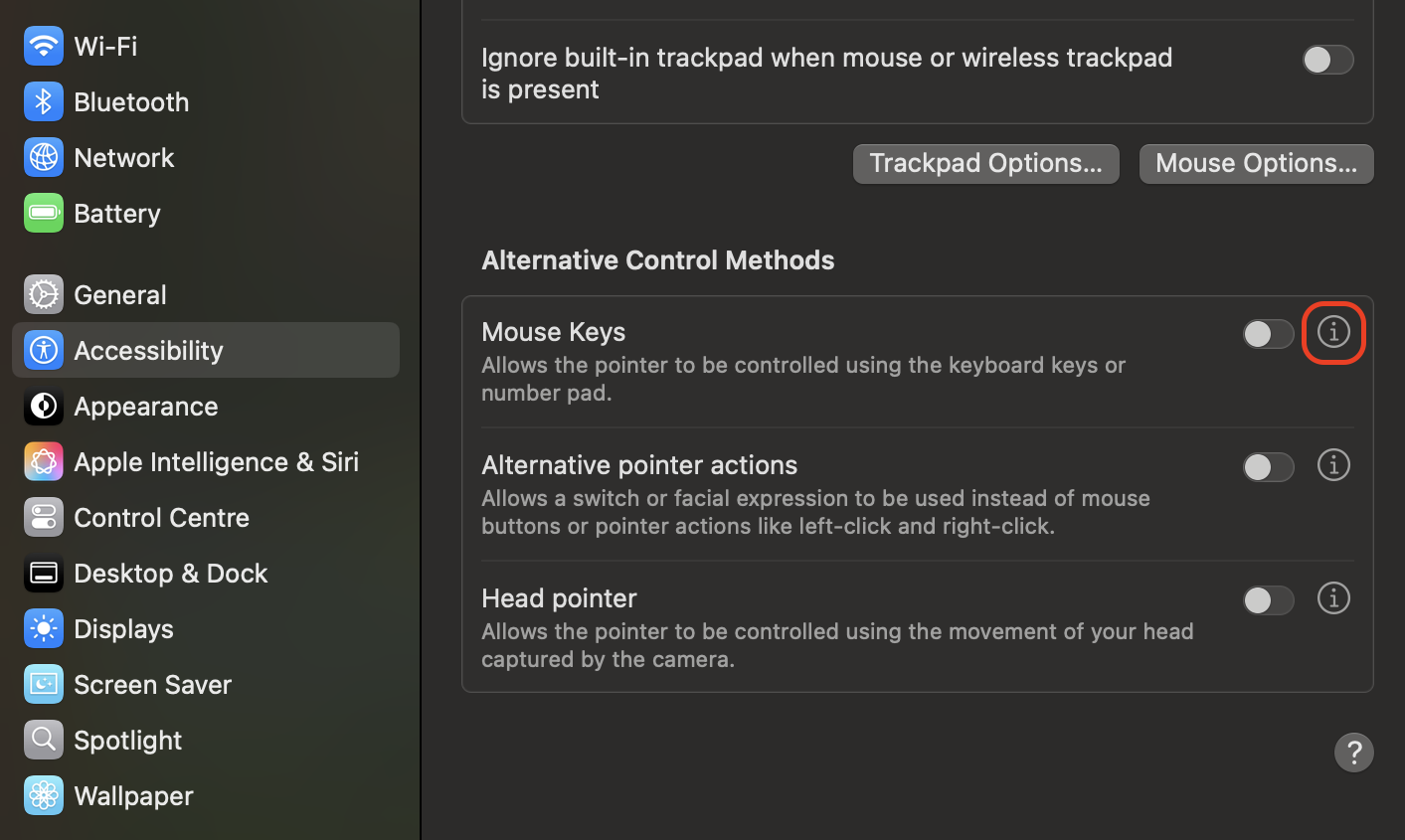 Click the info button beside Mouse Keys to access additional customization options, allowing you to fine-tune keyboard-based pointer movement and left-click behavior on your Mac.
