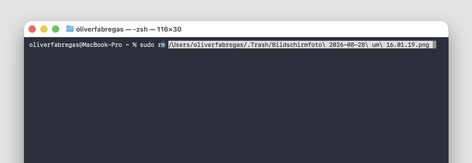 Anschließend geben Sie im Terminal sudo rm ein und ziehen die gewünschten Dateien per Drag-and-drop in das Terminalfenster. Drücken Sie danach die Eingabetaste, um den Vorgang fortzusetzen.