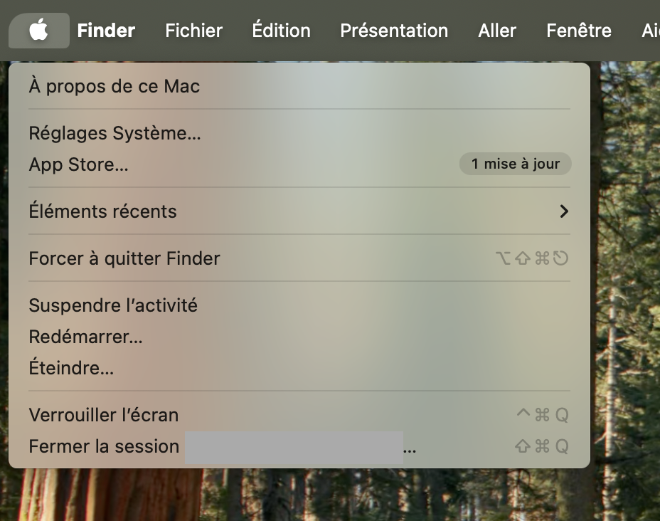 L'action de redémarrer votre ordinateur devrait être votre premier réflexe dès que vous constatez un dysfonctionnement au niveau de votre USB. Pour redémarrer votre Mac, cliquez sur le menu Apple dans la barre des menus. Cliquez ensuite sur Redémarrer.