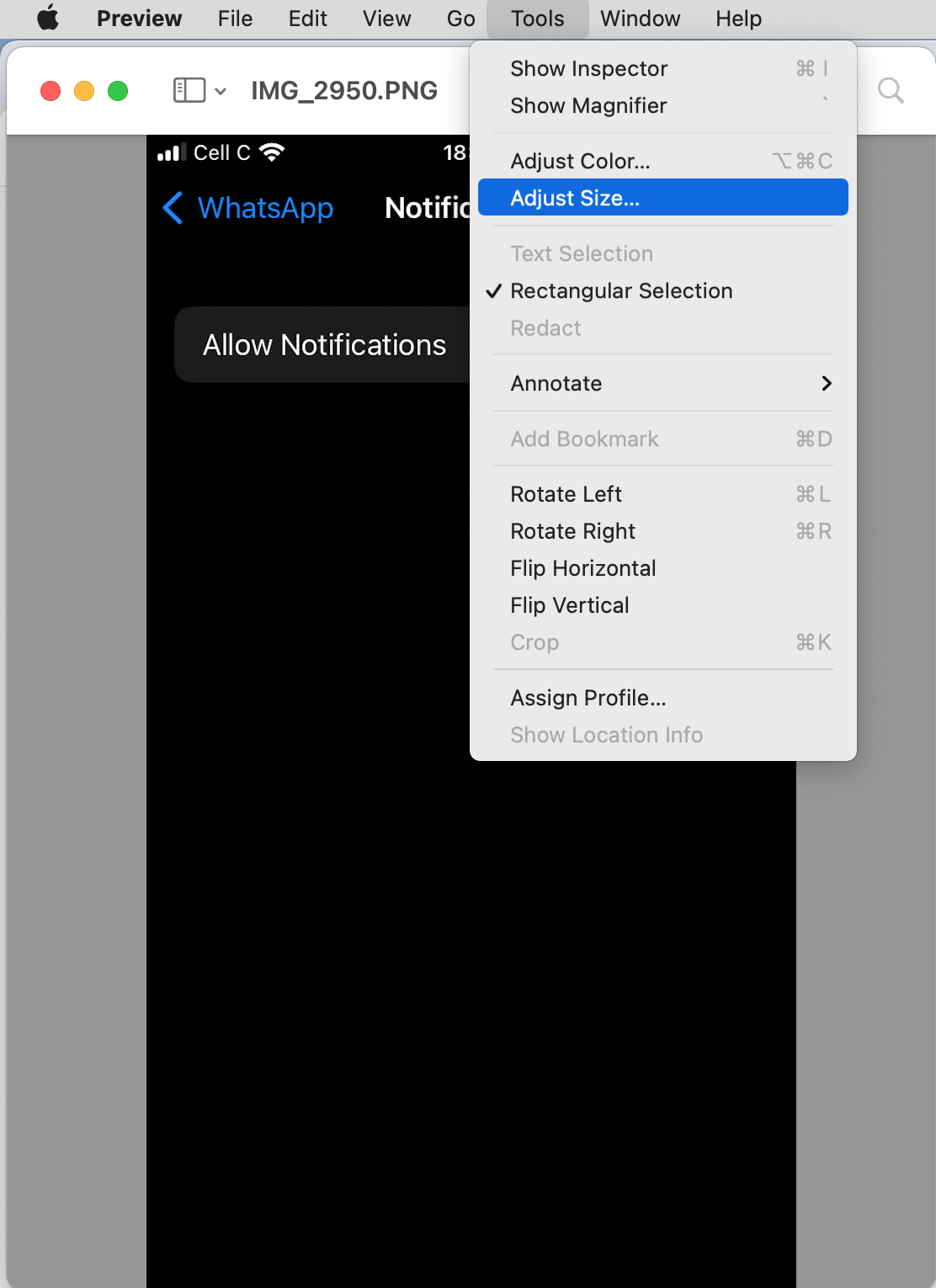 Apple’s Preview is opened on a Mac. Using Preview to reduce JPEG on Mac is the first option available to Mac users who want to save space.