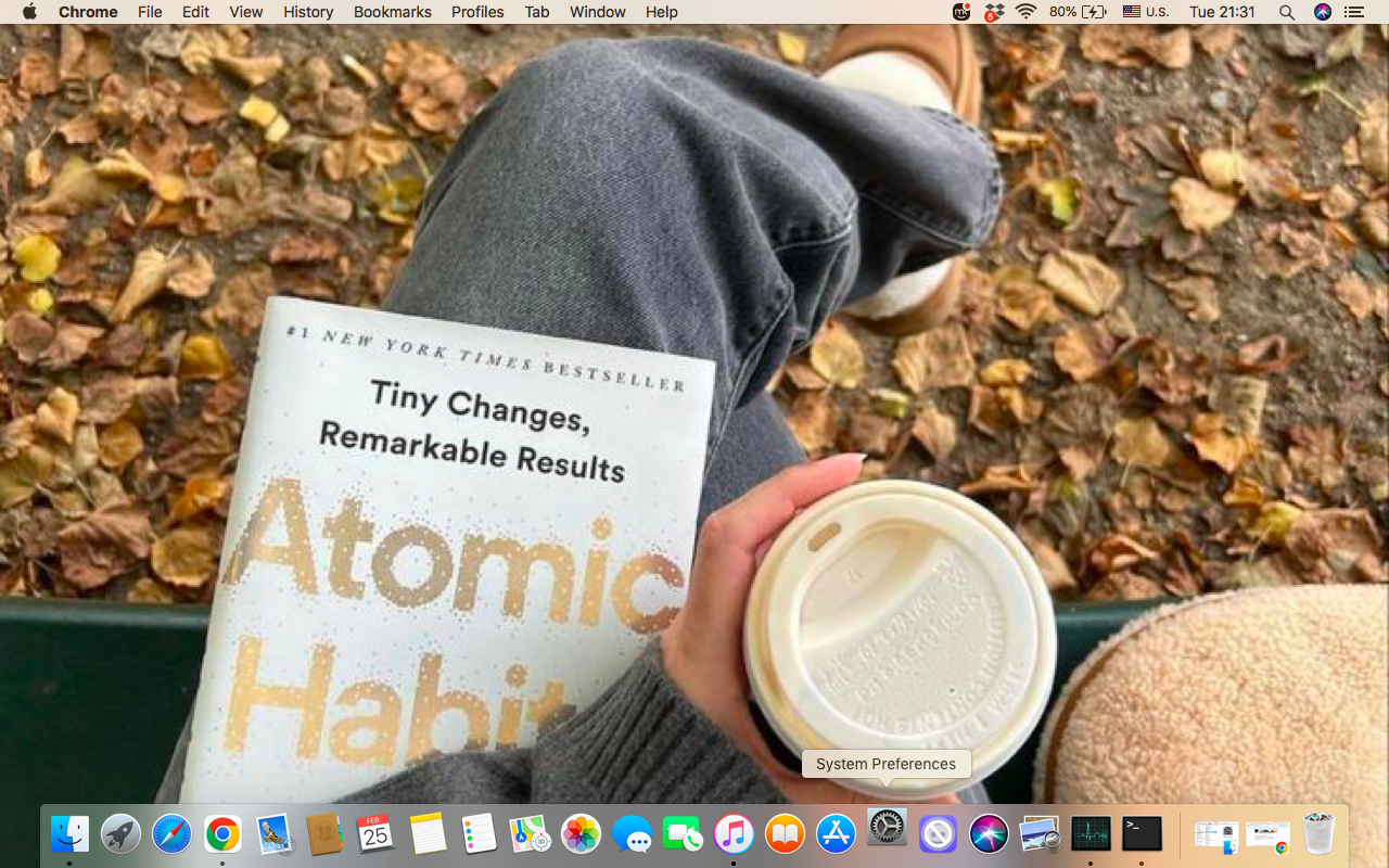 To open System Preferences,  find and click the gear icon in the dock.
