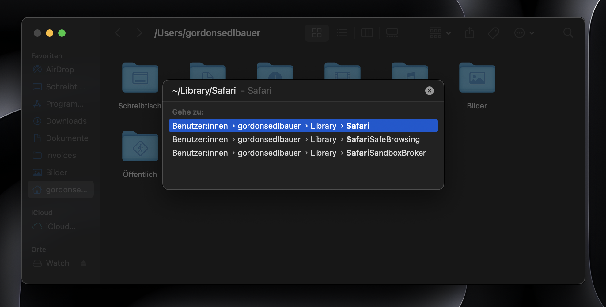 Klicken Sie im Finder oben auf dem Bildschirm auf die Registerkarte Gehe zu, um die Daten der Webseite zu entfernen. Wählen Sie dann Zu Ordner gehen und geben Sie ~/Library/Safari ein. Löschen Sie alle Dateien mit dem Namen History.db und die Datei LastSession.plist. Klicken Sie im Finder oben auf dem Bildschirm auf die Registerkarte Gehe zu, um die Daten der Webseite zu entfernen. Wählen Sie dann Zu Ordner gehen und geben Sie ~/Library/Safari ein. Löschen Sie alle Dateien mit dem Namen History.db und die Datei LastSession.plist.