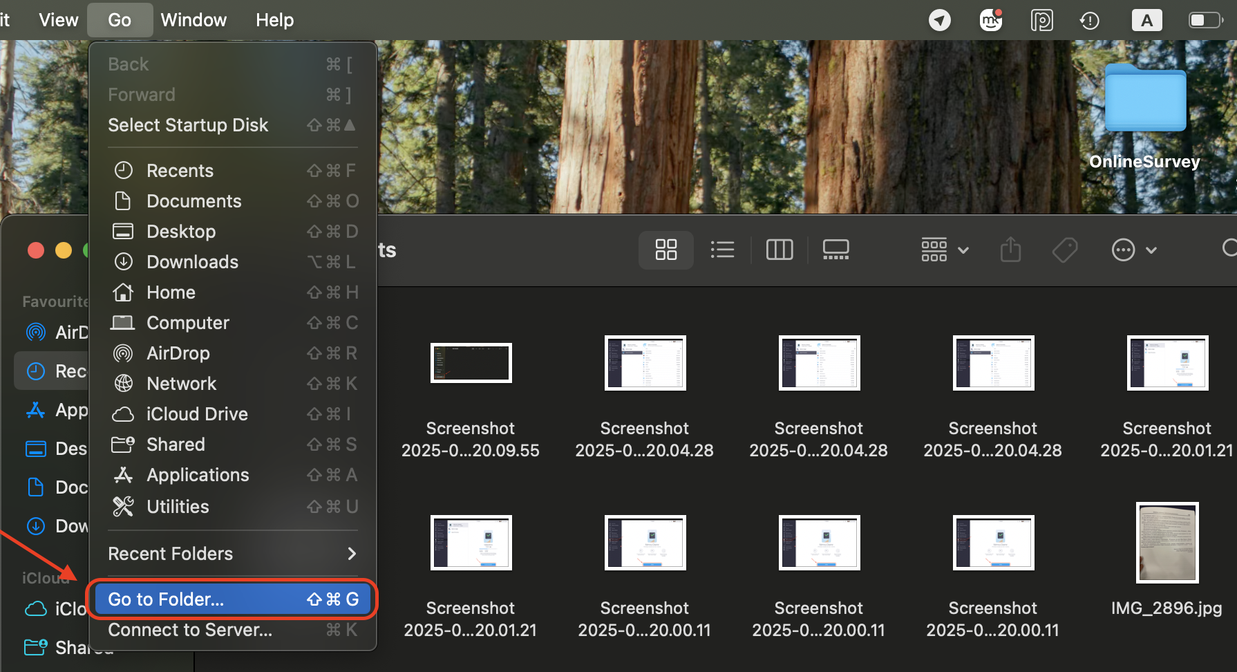 Open Finder, then click Go in the menu bar and select Go to Folder to quickly navigate to a specific directory on your Mac.