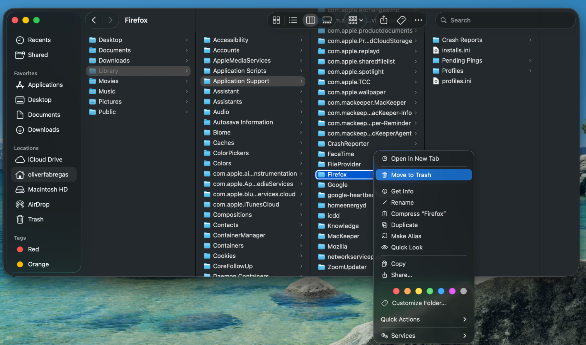 As the next step, move any Mozilla or Firefox files and folders you find to the Trash.