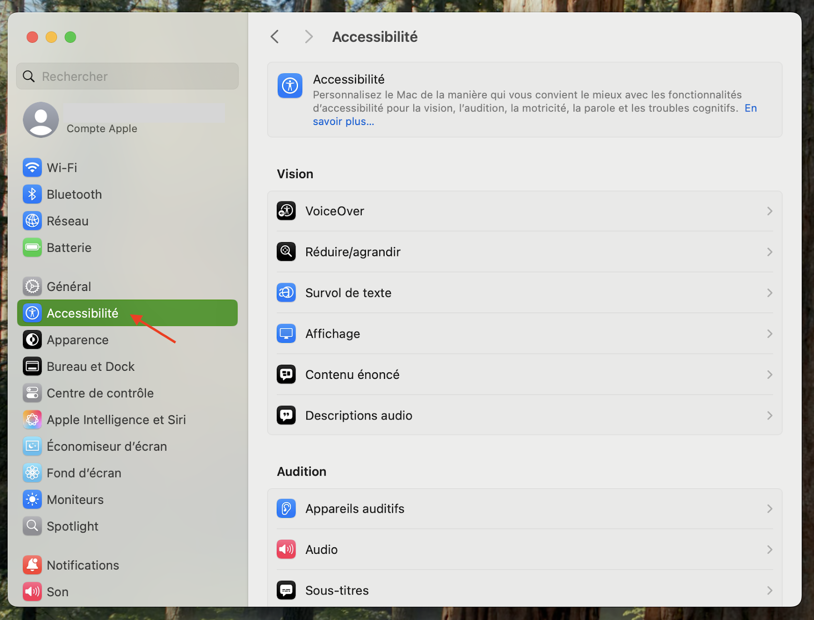 La fenêtre Préférences système sur macOS Monterey affiche toutes les fonctionnalités. Cliquez sur Accessibilité pour accéder aux paramètres d'animation et de transparence.
