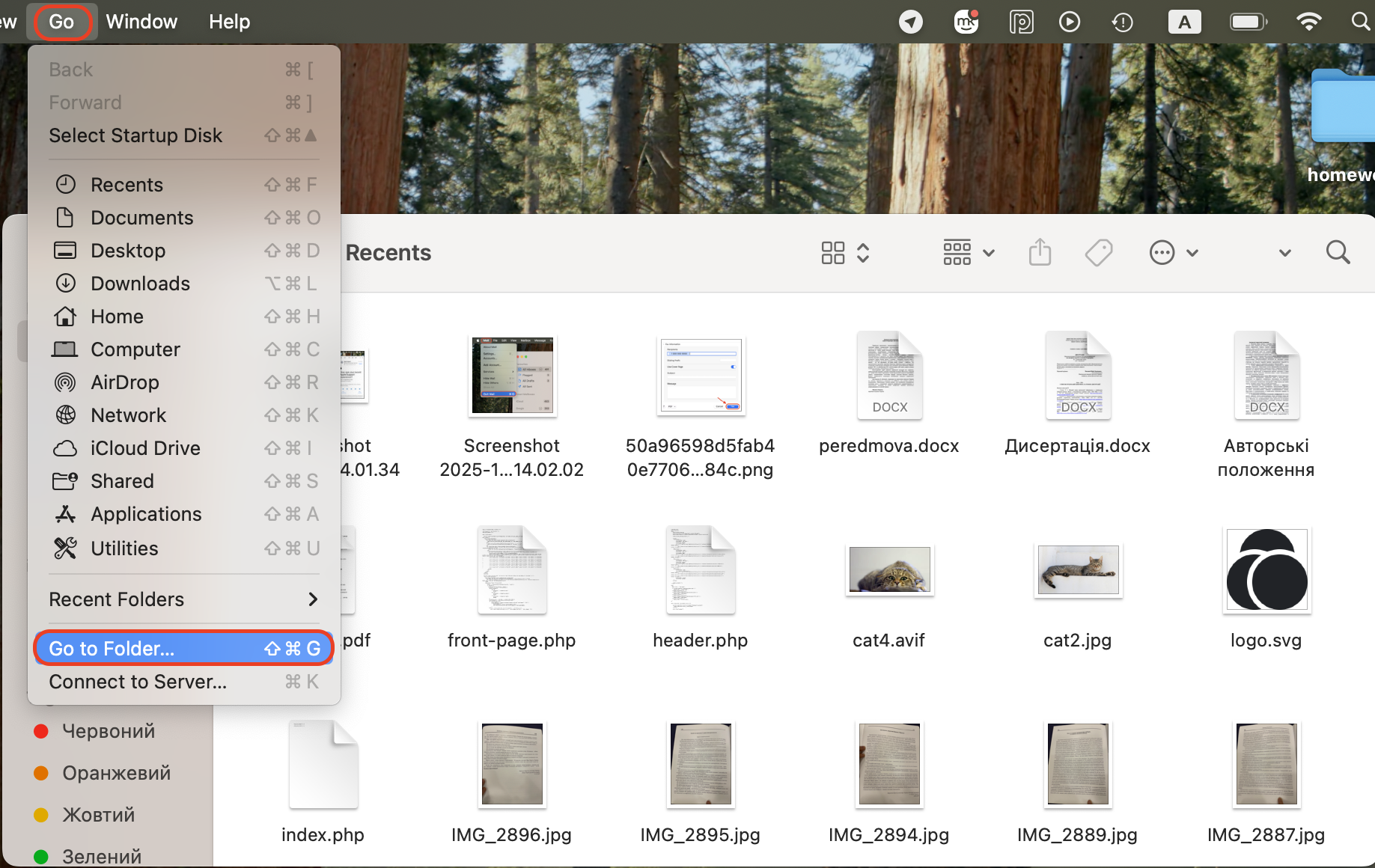 Open Finder, select Go, then Go to Folder…, enter ~/Library/Mail/V/Attachments/, and move all files from that folder to Trash to clear attachments.
