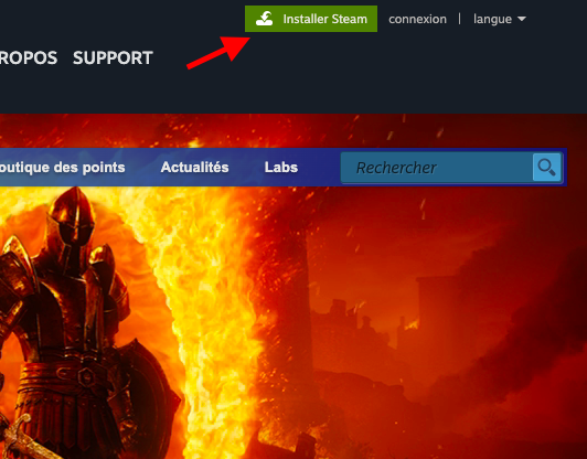 La fenêtre de navigation affiche le bouton Installer Steam sur le site Web de Steam. Cliquez sur celui-ci pour lancer l'installation.