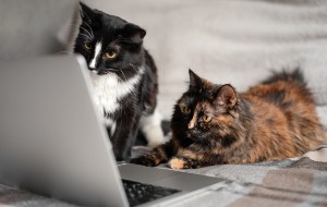 How to Convert PDF to JPG on Mac How to Convert PDF to JPG on Mac