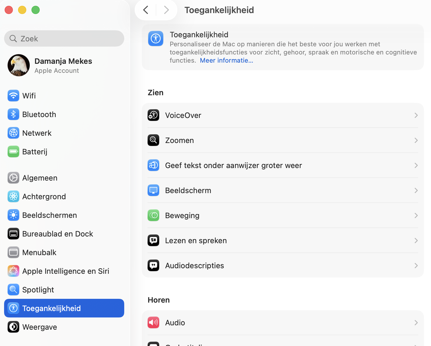 Zodra je de Systeeminstellingen hebt geopend, klik je op ‘Toegankelijkheid’ en vervolgens op ‘Beeldscherm’ om je opties te zien voor het verminderen of uitschakelen van veeleisende visuele effecten.