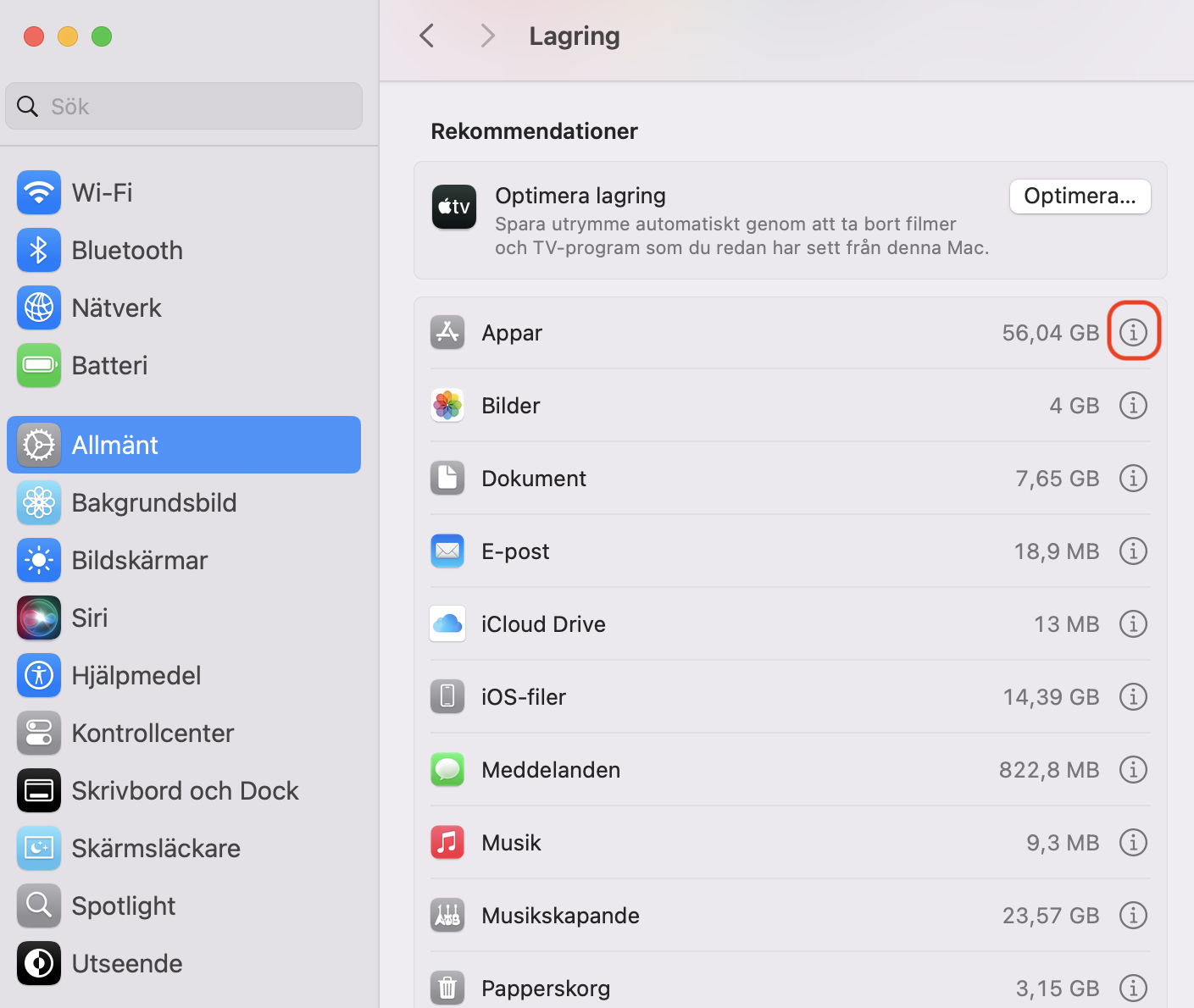 Klicka på informationsknappen bredvid Dokument i lagringsinställningarna för att se stora filer