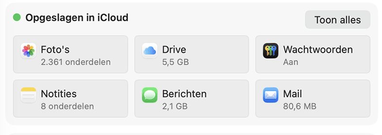Schakel iCloud Drive-synchronisatie uit door naar Instellingen > Algemeen te gaan en je Apple ID-naam te selecteren. Tik vervolgens op iCloud Drive, dat je vindt onder Apps die iCloud gebruiken.