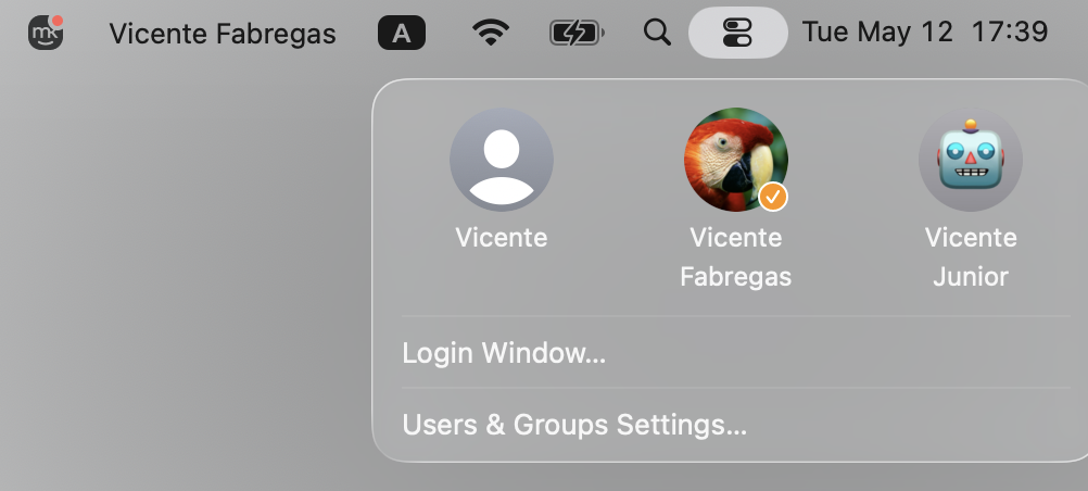 If everything is done correctly, you should see this particular screen—only with your credentials instead.