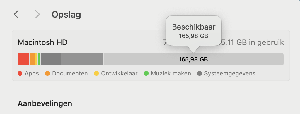 Je kunt zien hoeveel systeemdata er op je Mac wordt gebruikt door naar Systeeminstellingen te gaan en met je cursor over het onderdeel Opslag te bewegen. Een tab laat je vervolgens de totale hoeveelheid zien.