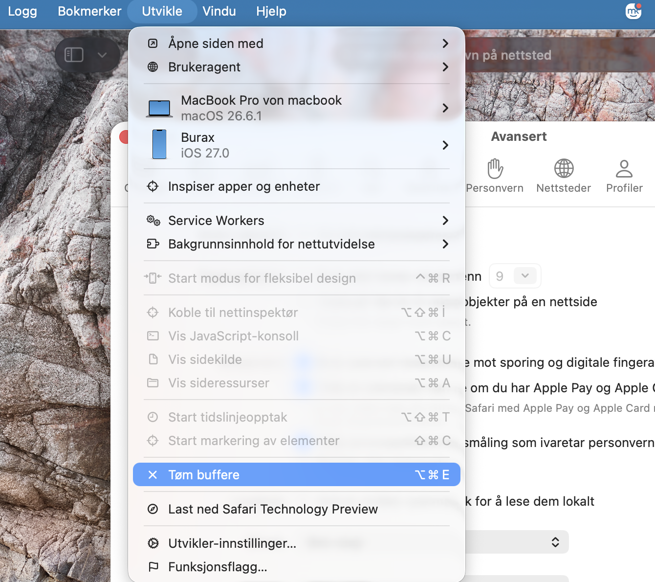 Til slutt, for å tømme hurtigbuffer i Safari på Mac, finner og velger du Tøm buffere under fanen Utvikle i nettleserinnstillingene.