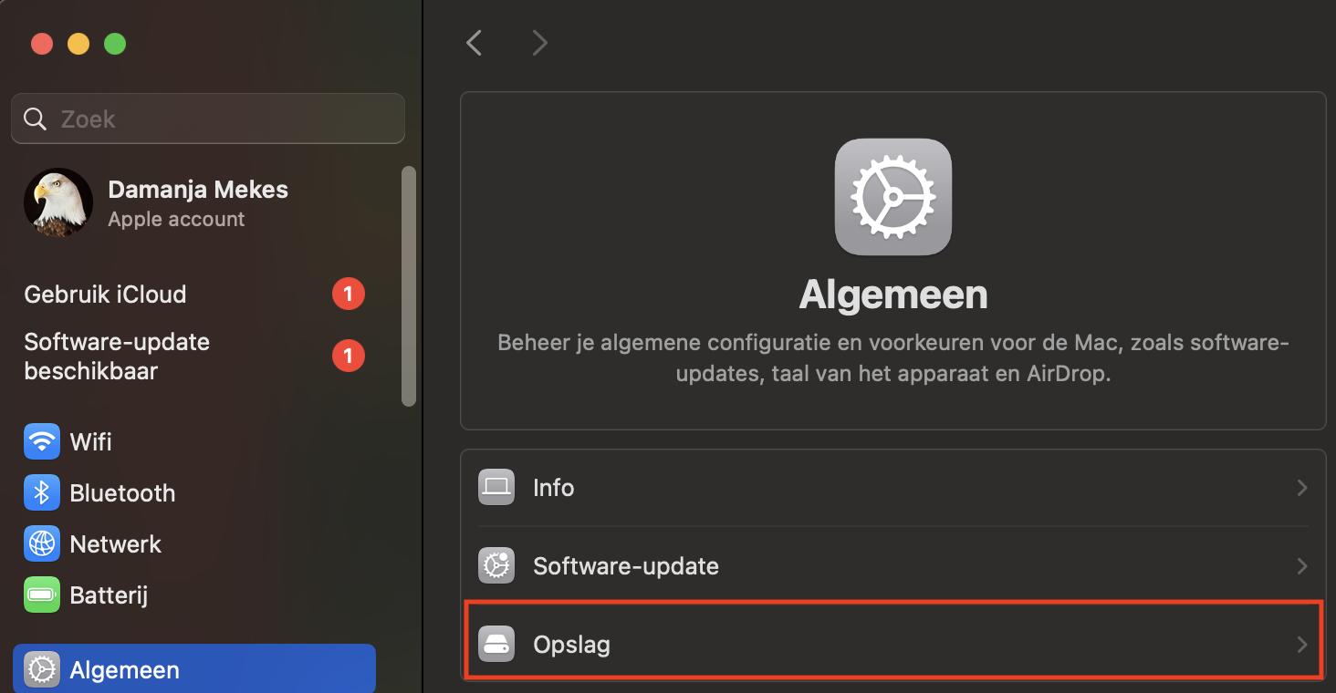 In het tabblad Algemeen zie je een onderdeel genaamd Opslag. Klik hierop om te zien hoeveel ruimte Systeemdata op je Mac inneemt.